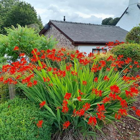 Villa Auld Ffynnon Brecon Esterno foto