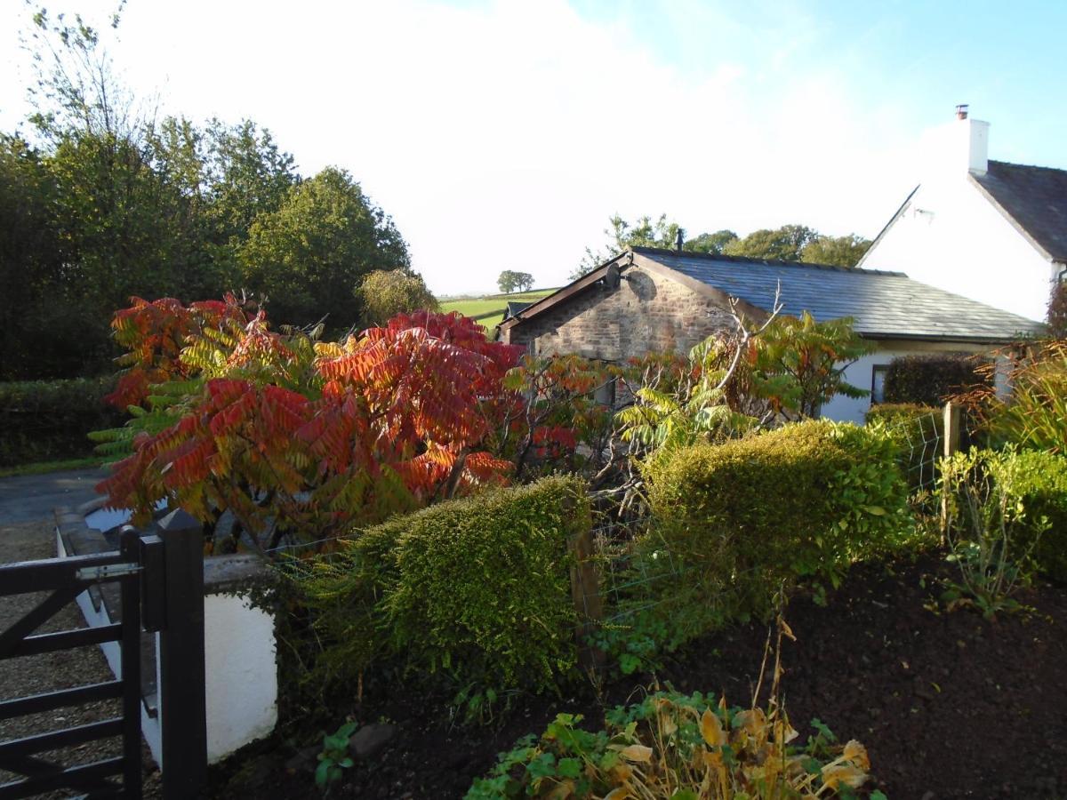Villa Auld Ffynnon Brecon Esterno foto